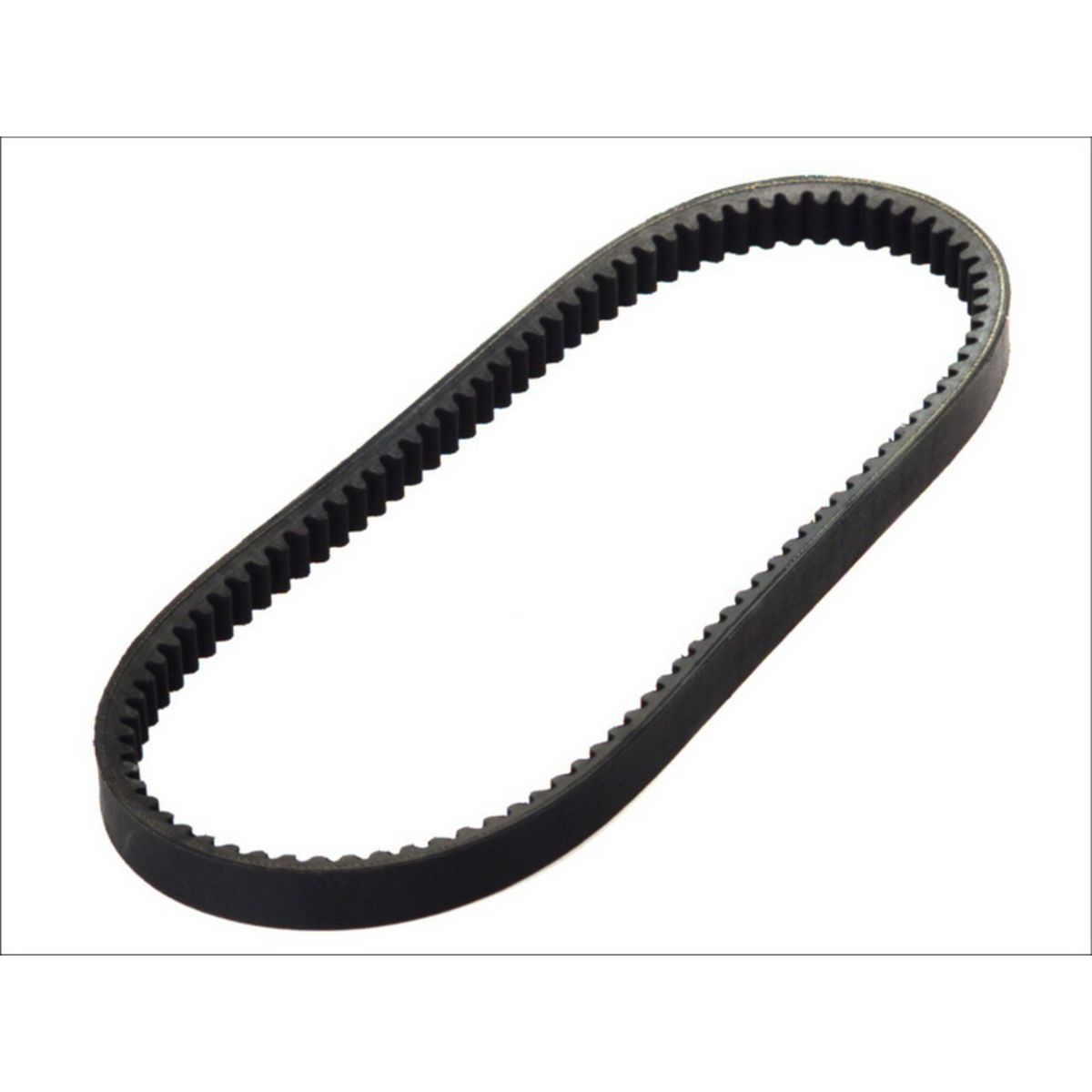 Vetohihna DAYCO 8179K