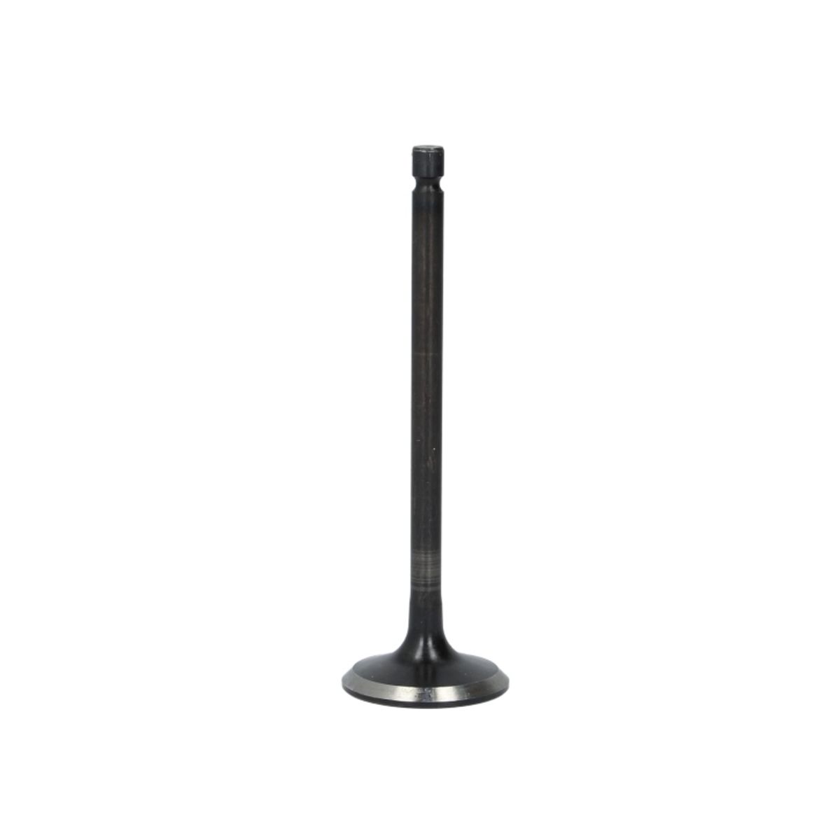 Imuventtiili FRECCIA R6407/SNT