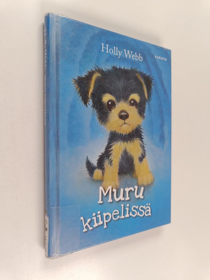 Muru kiipelissä