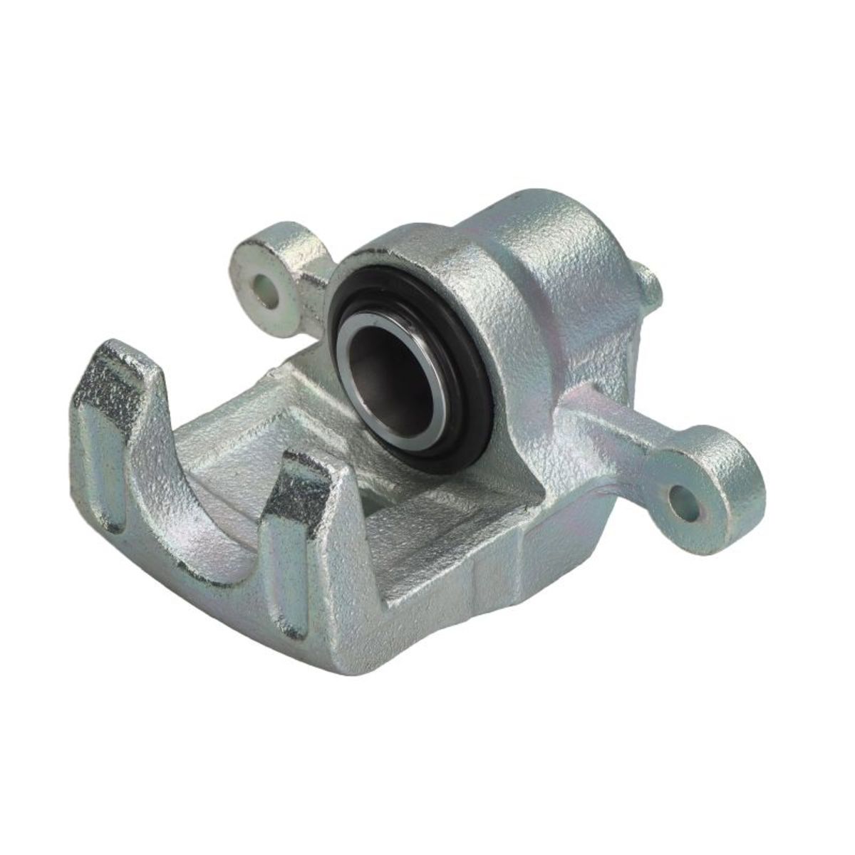 Jarrusatula BUDWEG CALIPER 344492