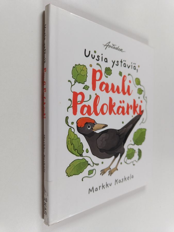 Uusia ystäviä, Pauli Palokärki