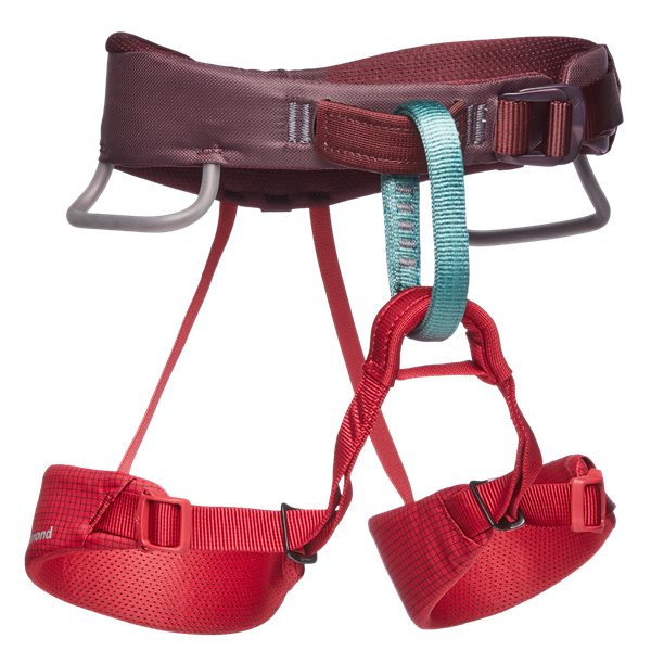 Black Diamond Momentum Harness - Kids' Wild Rose