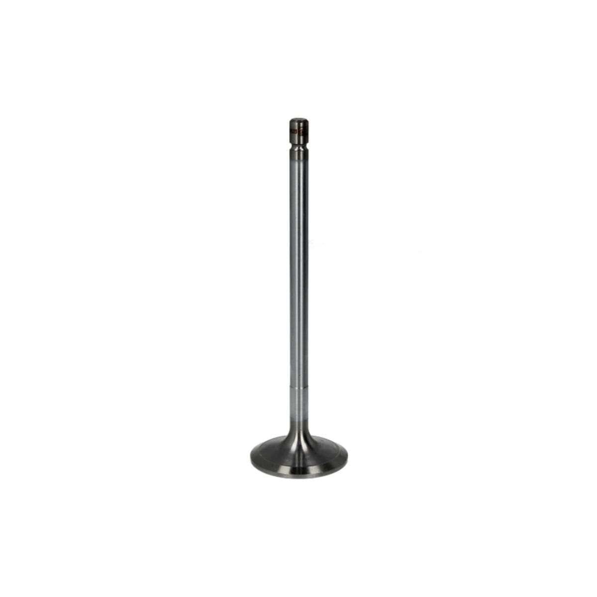 Imuventtiili DT Spare Parts 2.10002