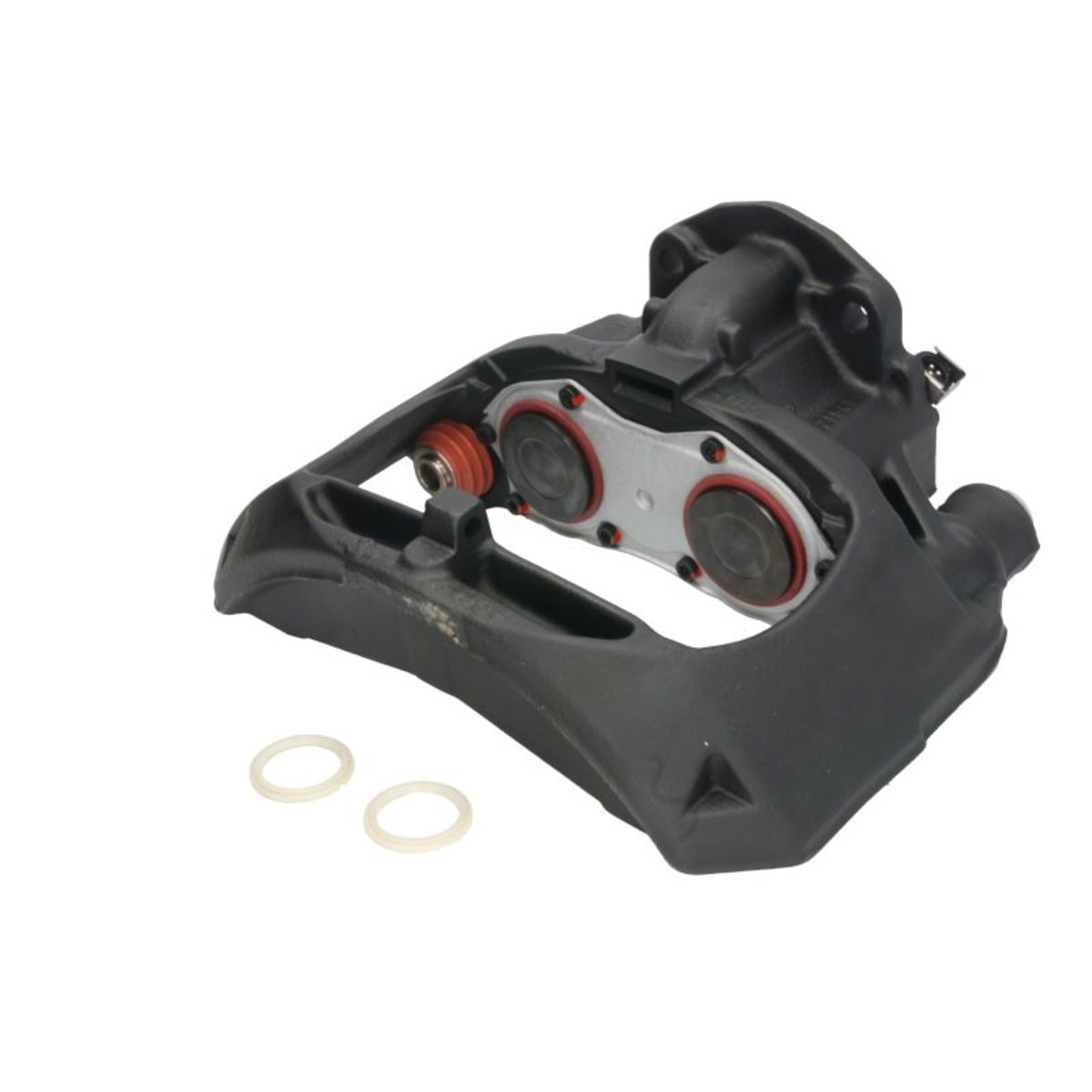 Jarrusatula SBP TEQ-SC.002