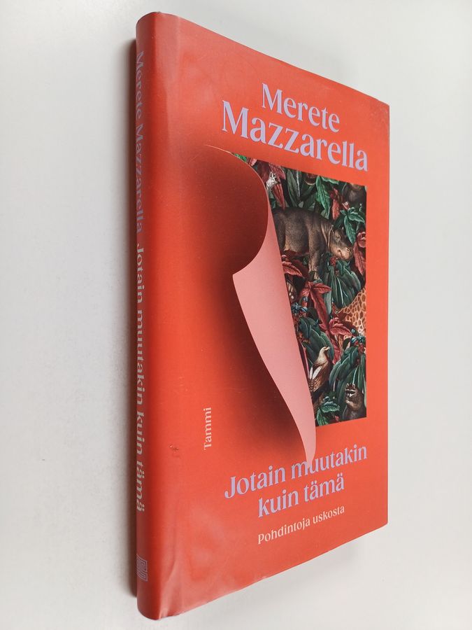 Jotain muutakin kuin tämä