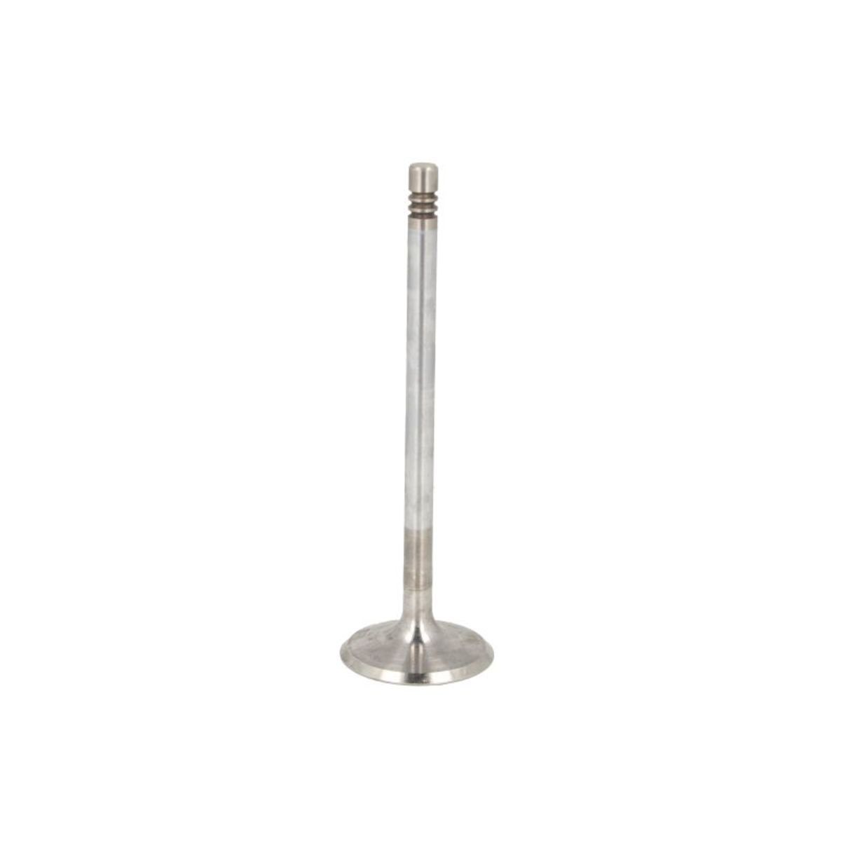 Imuventtiili FRECCIA R6581/SCR