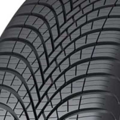 Sava All Weather ( 225/50 R17 98V XL, vannesuojalla (MFS) )