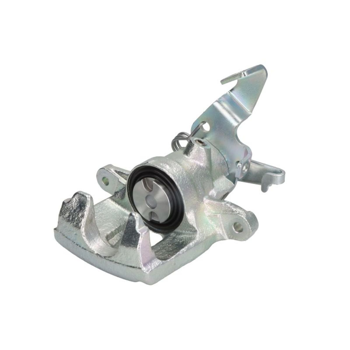 Jarrusatula BUDWEG CALIPER 343090