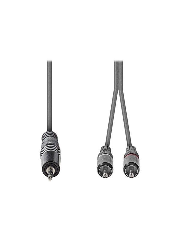 Nedis Stereoäänikaapeli | 3.5 mm uros | 2x RCA uros | Niklattu | 3.00 m | Pyöreä | Tummanharmaa | Pahvikotelo