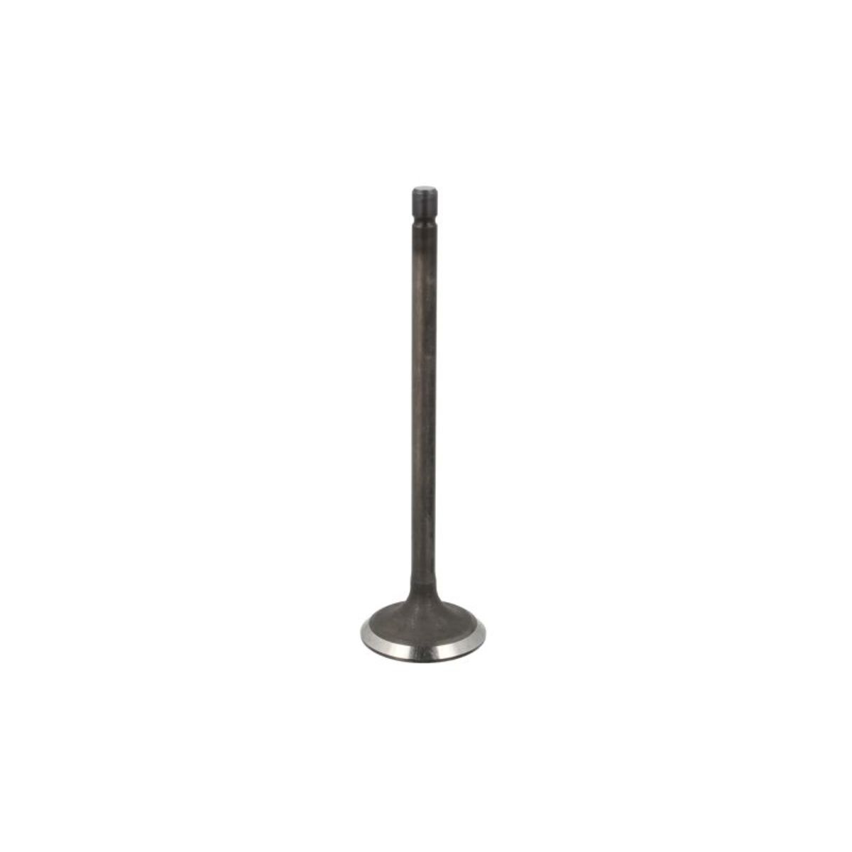 Imuventtiili FRECCIA R6769/SNT