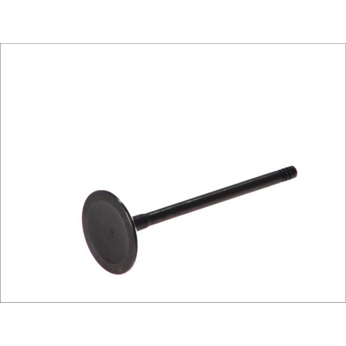 Imuventtiili FRECCIA R6399/SNT