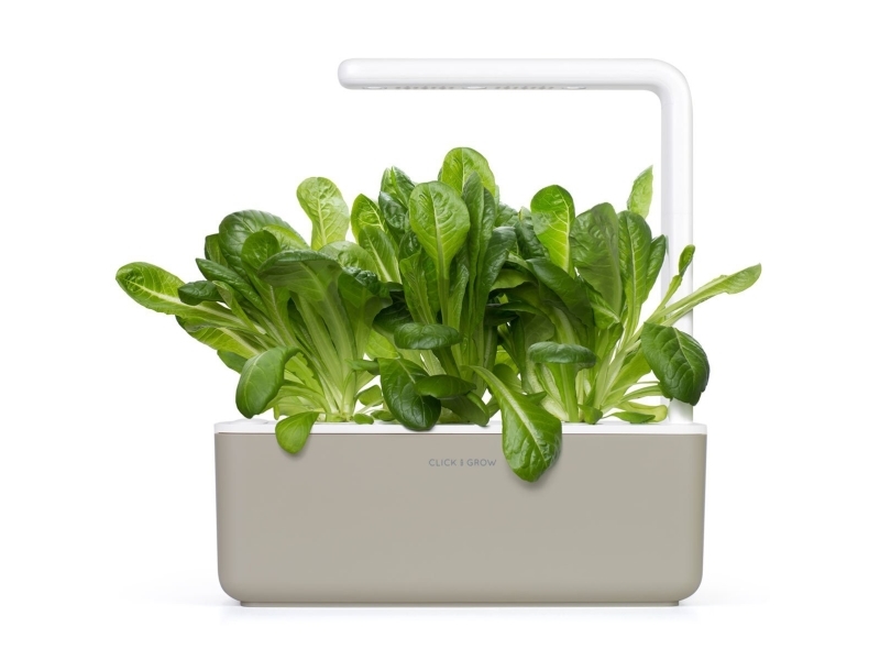 Click & Grow Älypuutarhan täyttöpakkaus 3 kpl - Romaine-salaatti