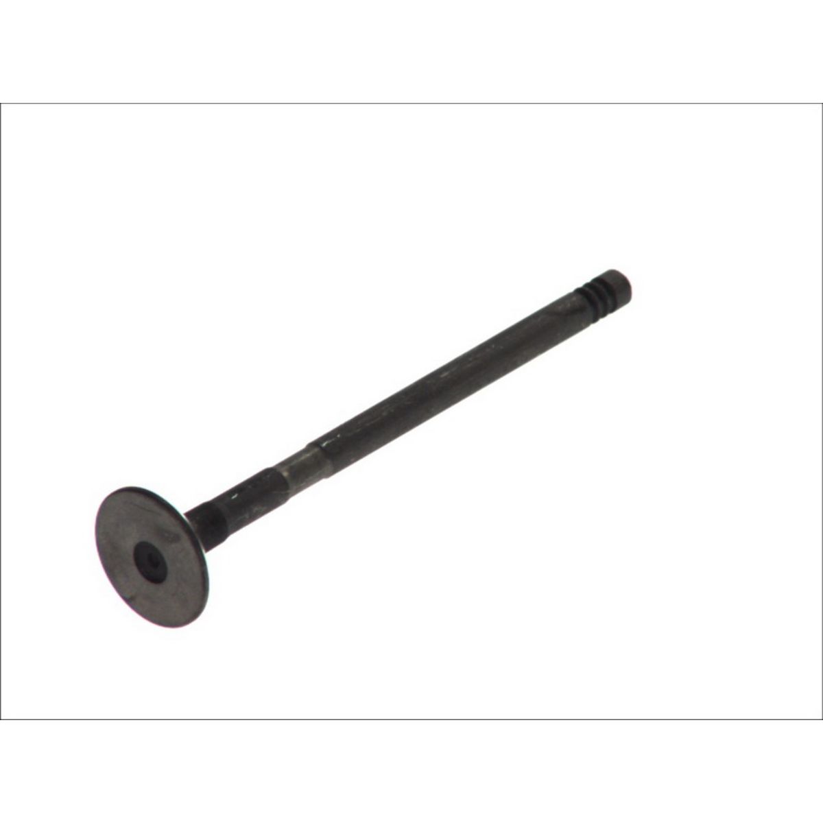 Pakoventtiili FRECCIA R6465/RNT