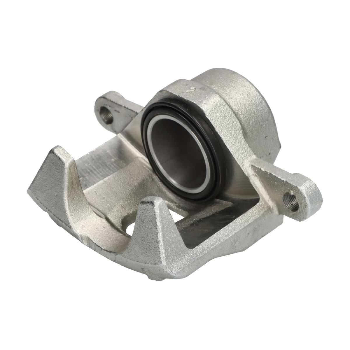Jarrusatula BUDWEG CALIPER 343499