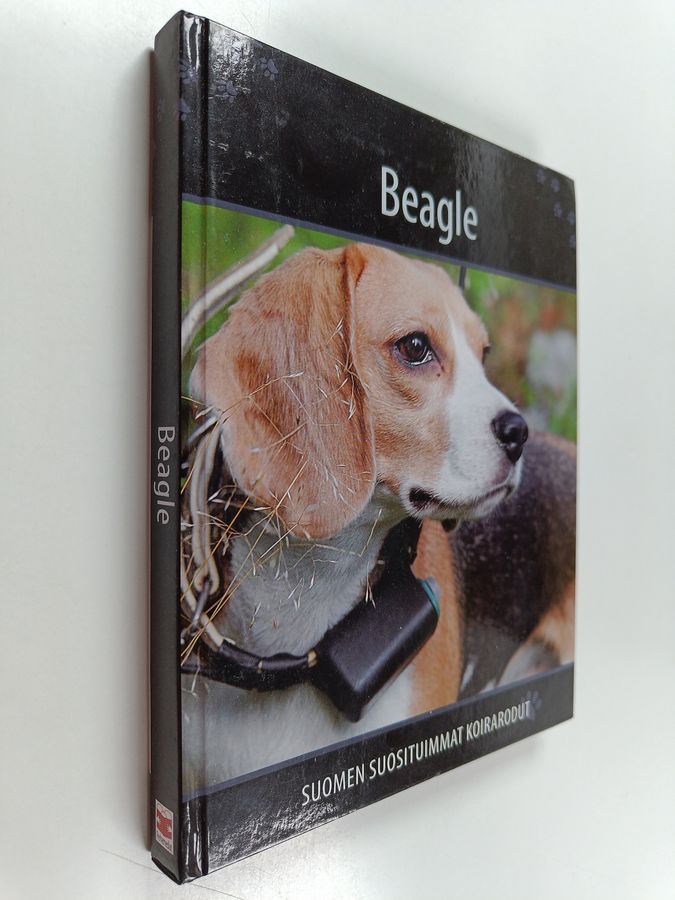 Beagle