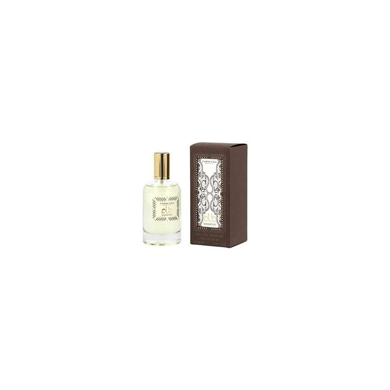 Enrico Gi Oud Magnifico Eau de Parfum 100 ml