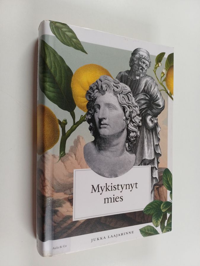Mykistynyt mies