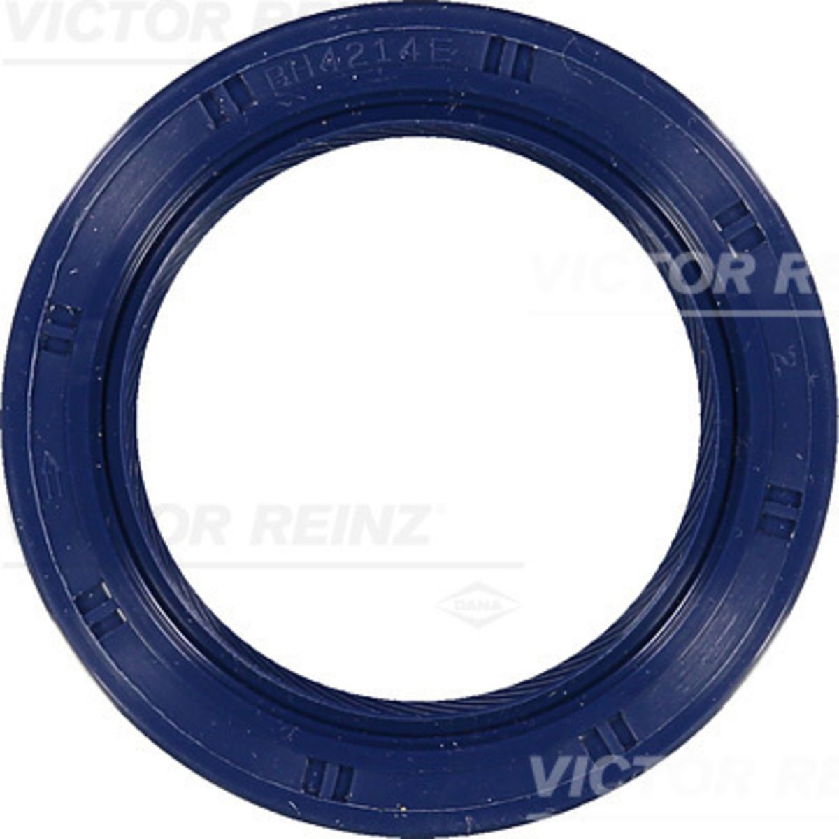 Akselitiiviste, kampiakseli REINZ 81-53649-00