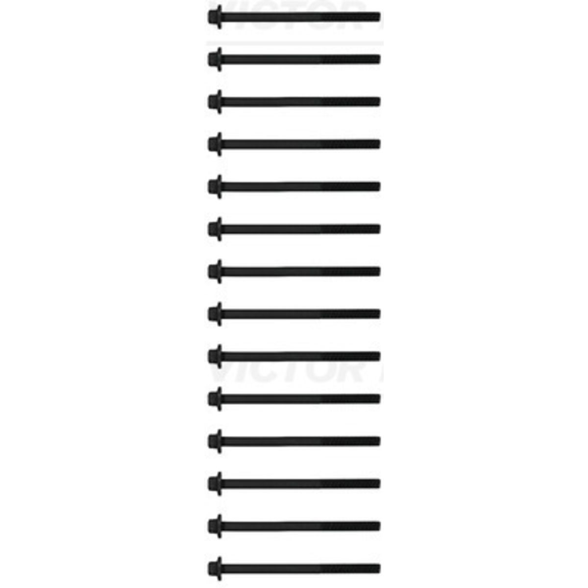 Syl.kannen pulttisarja REINZ 14-10017-01