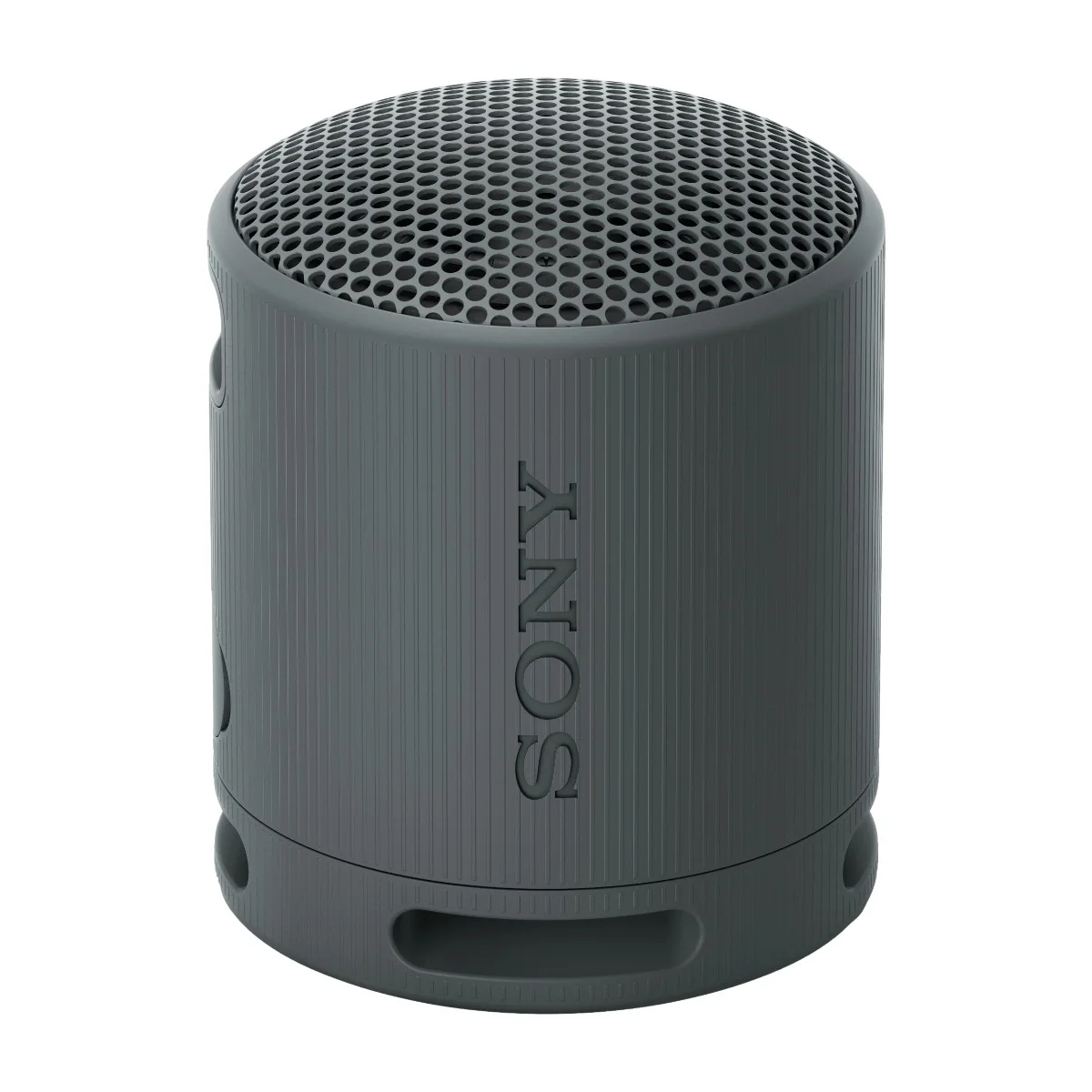 Sony SRS-XB100 - Portable speaker - Black