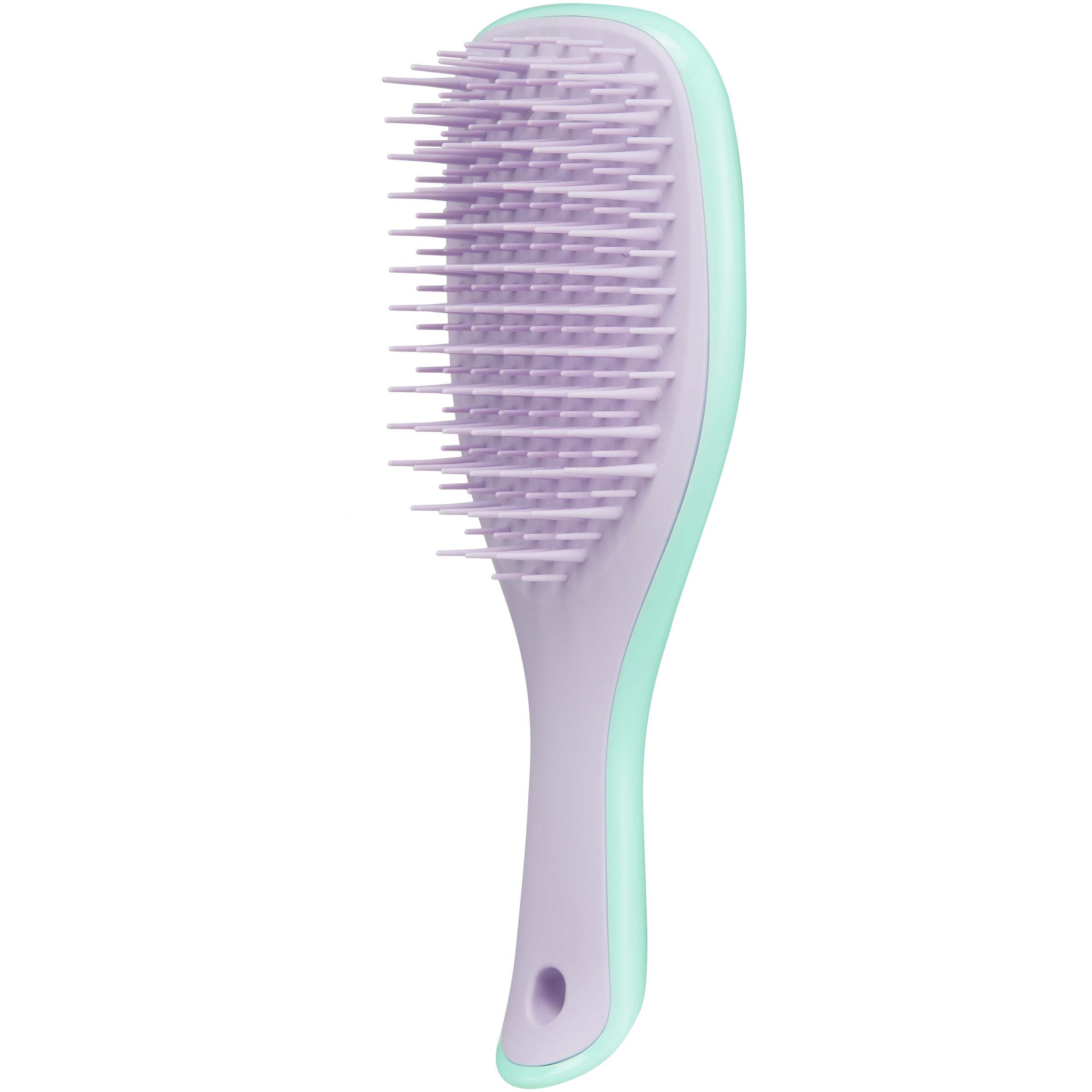 Tangle Teezer The Wet Detangler Mini