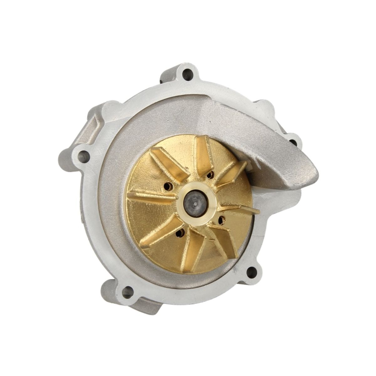 Vesipumppu HEPU P838