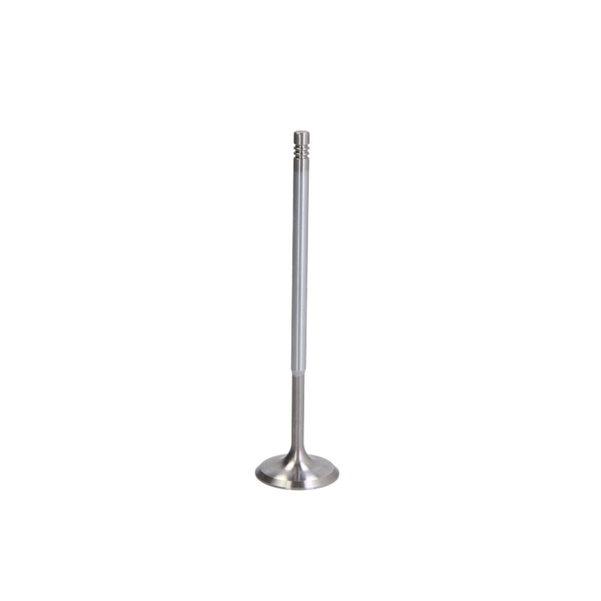 Imuventtiili FRECCIA R6702/SARCR
