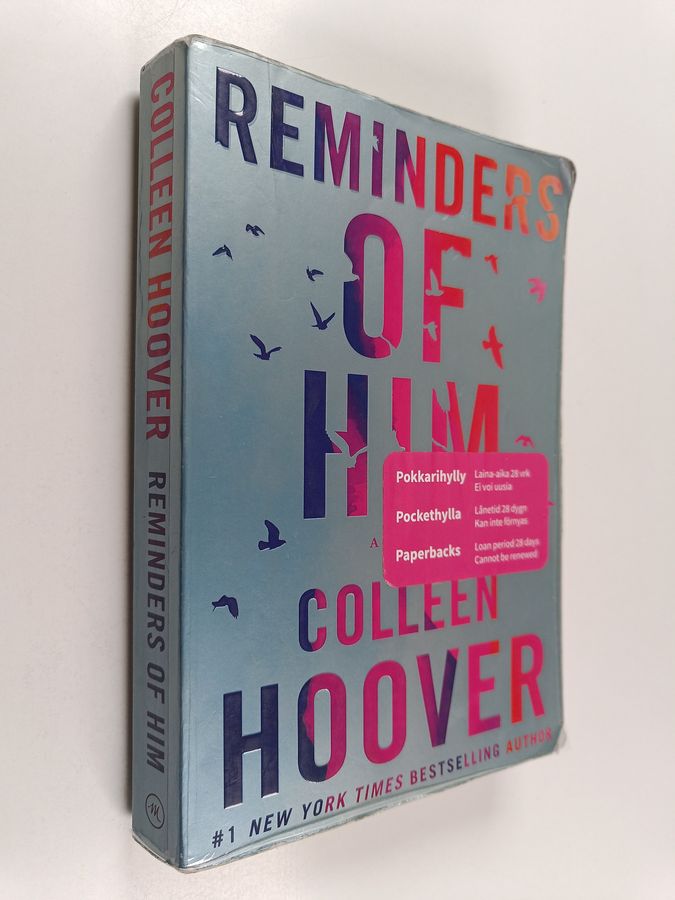 Reminders of Him - A Novel