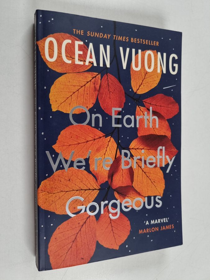 On Earth We're Briefly Gorgeous