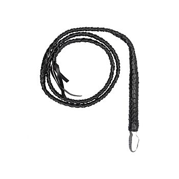 Ouch - Twisted Whip