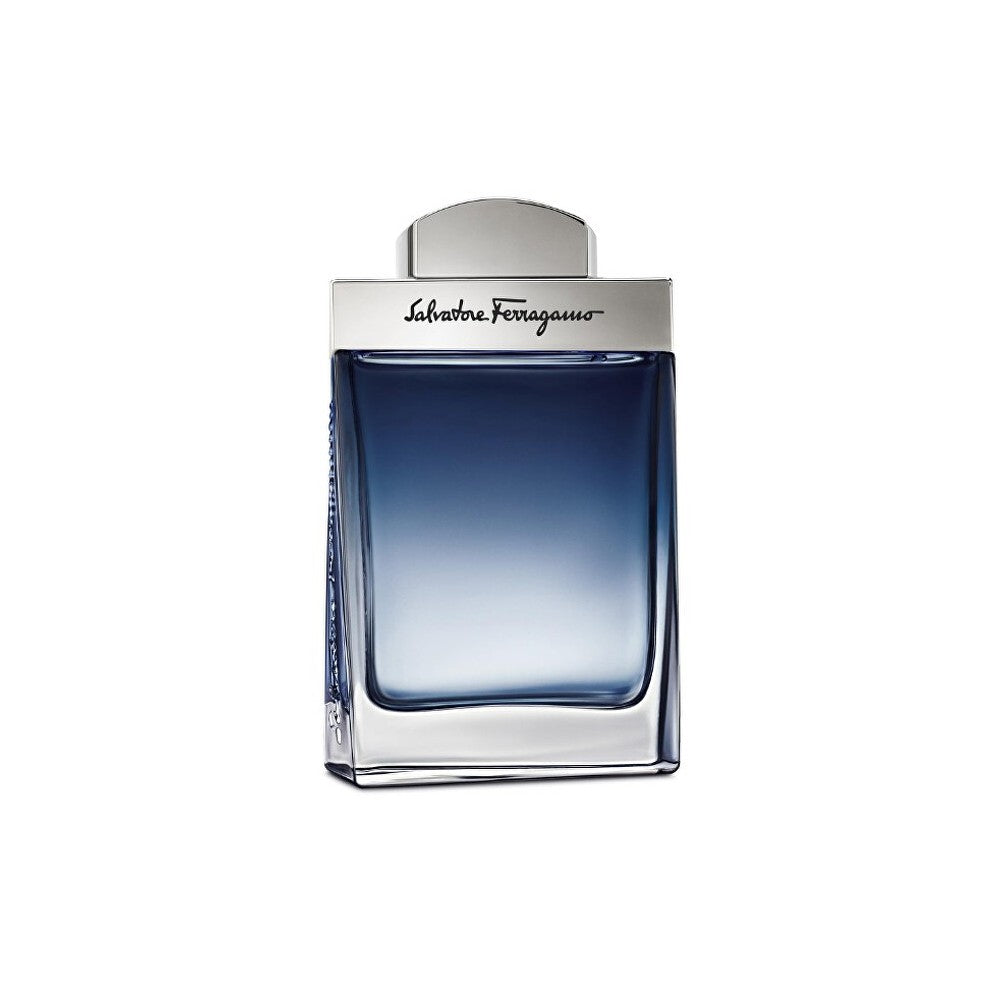 Ferragamo Subtil Eau de Toilette miehille 50 ml