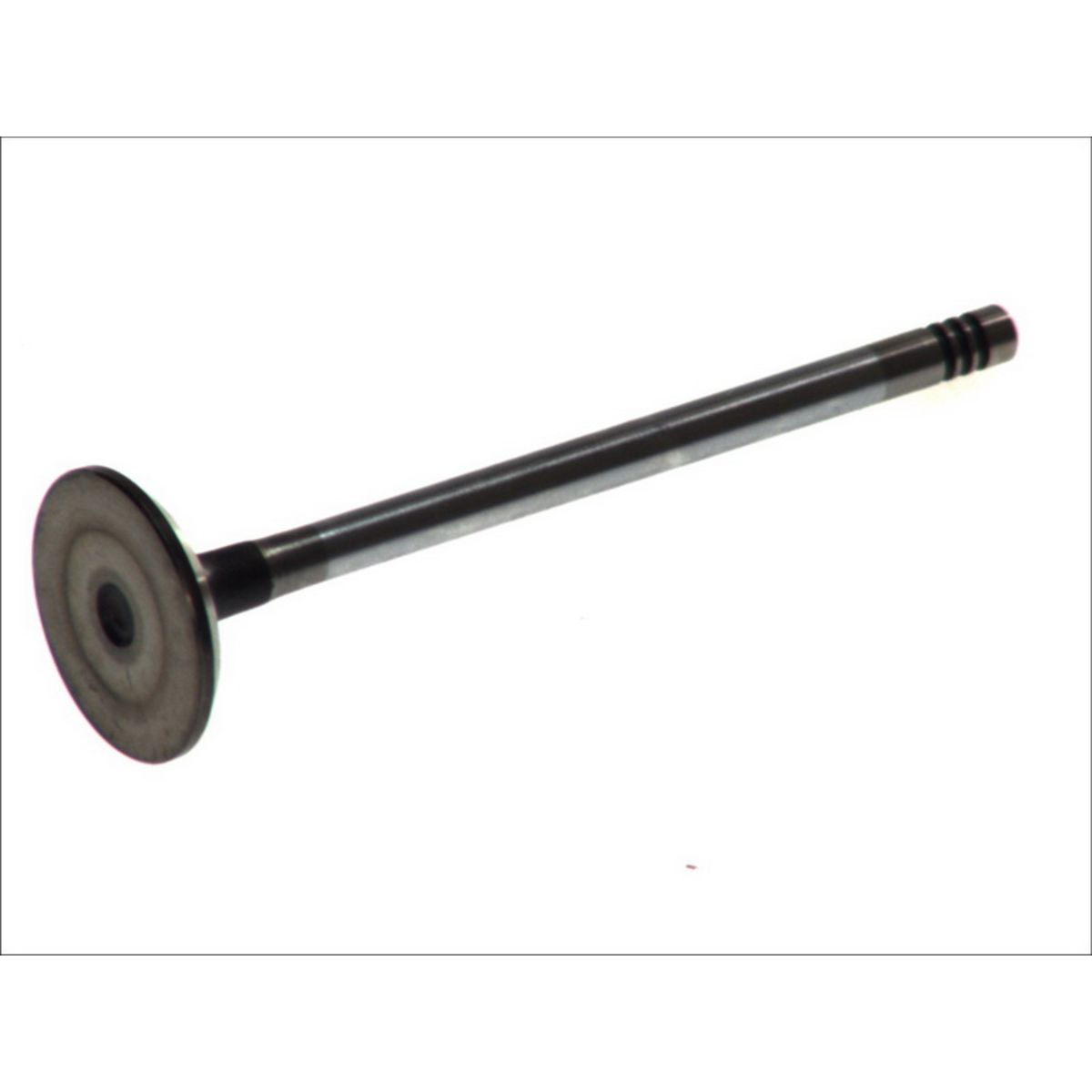 Imuventtiili FRECCIA R6163/SCR