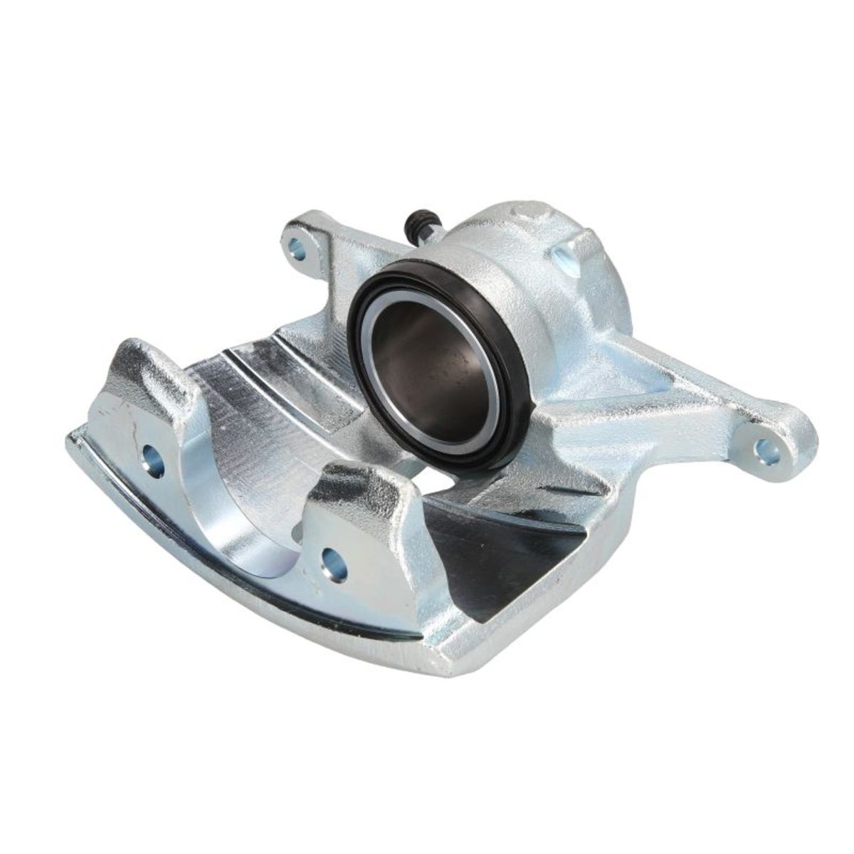 Jarrusatula BUDWEG CALIPER 344672