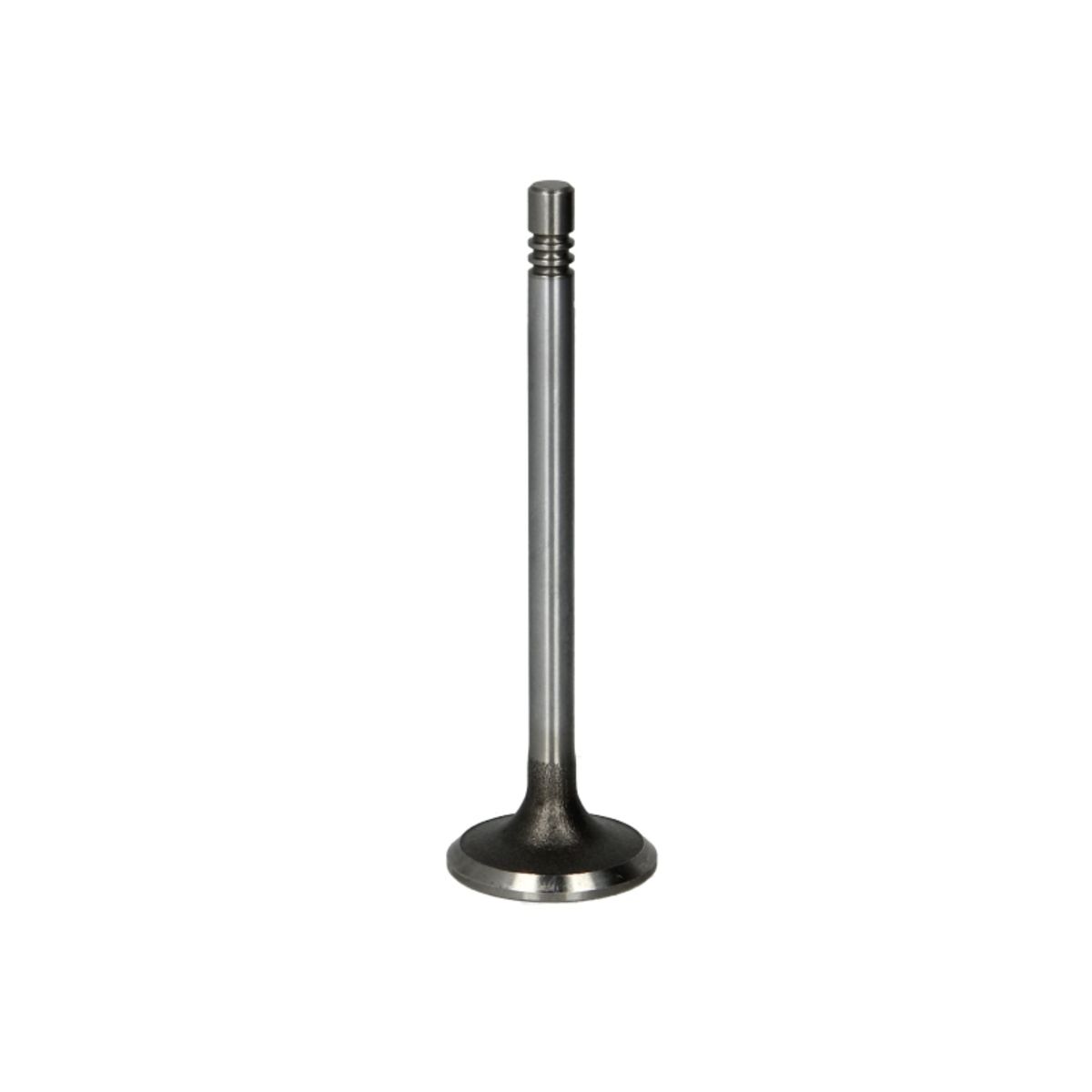 Imuventtiili FRECCIA R6355/SCR