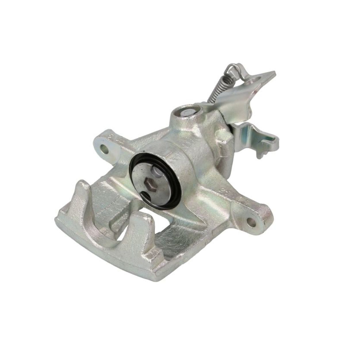 Jarrusatula BUDWEG CALIPER 343281