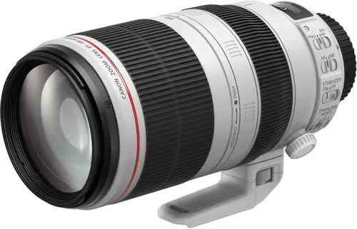 Canon Ef 100-400mm F/4.5-5.6 L Is Ii Usm