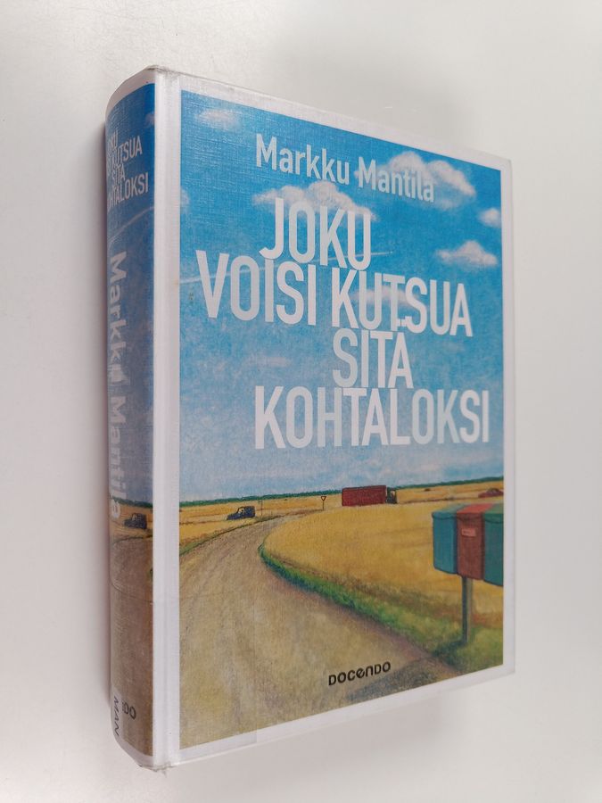 Joku voisi kutsua sitä kohtaloksi