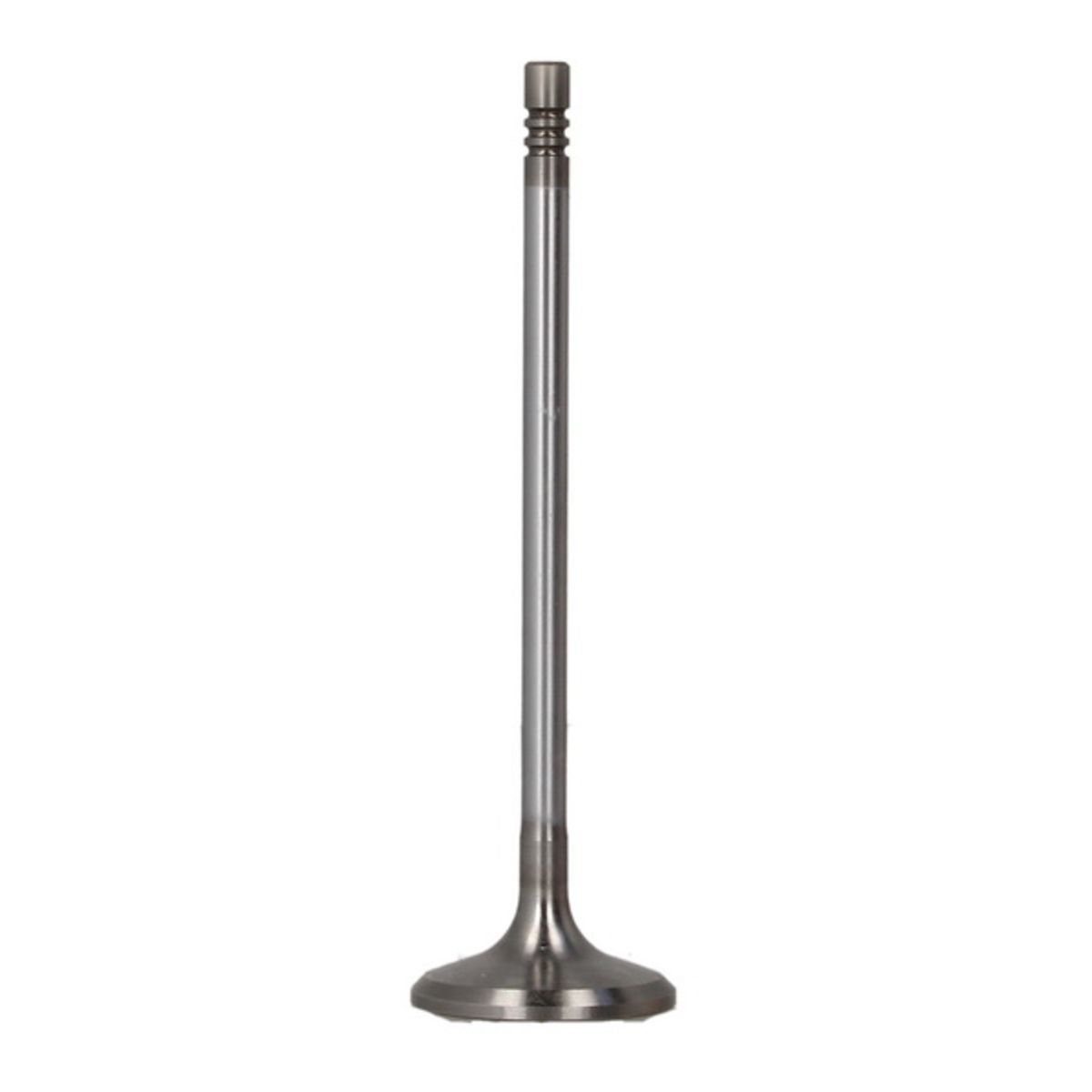 Imuventtiili FRECCIA R6787/SCR
