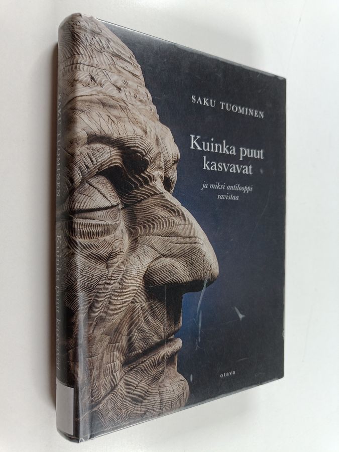 Kuinka puut kasvavat