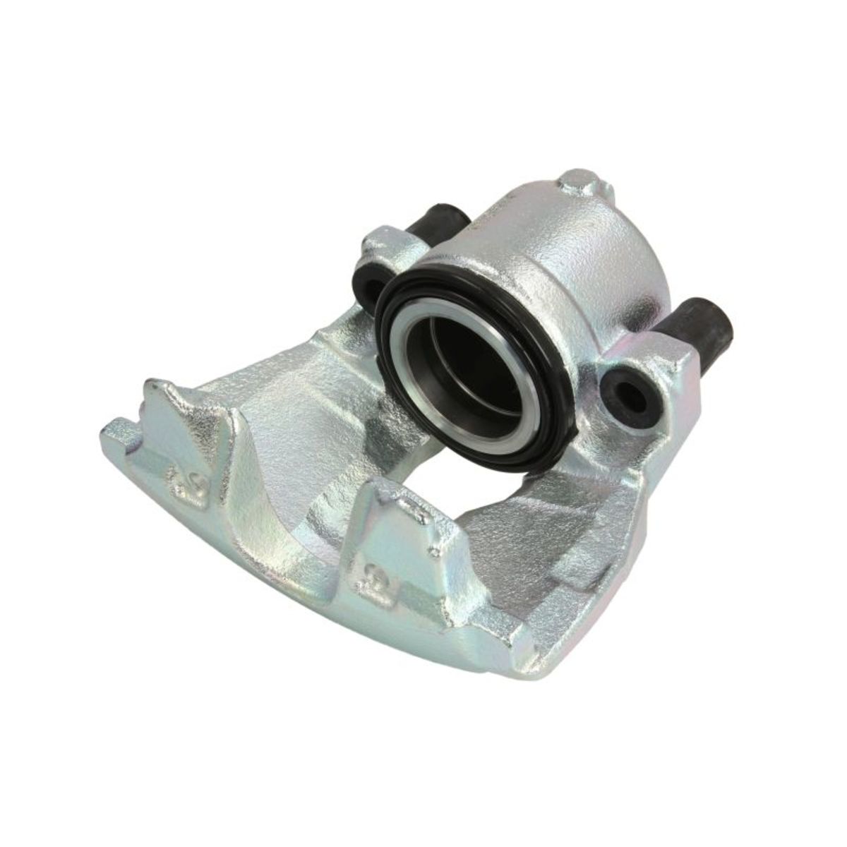 Jarrusatula BUDWEG CALIPER 342456