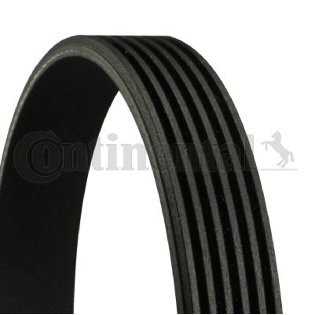 Moniurahihna CONTITECH 6PK2575