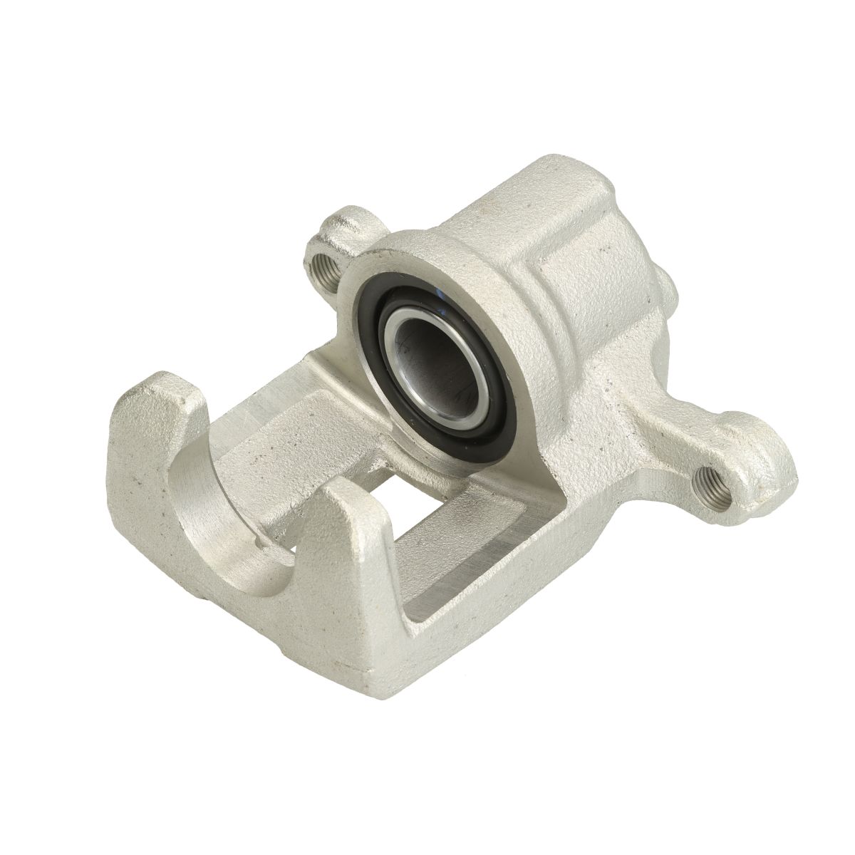 Jarrusatula BUDWEG CALIPER 344820