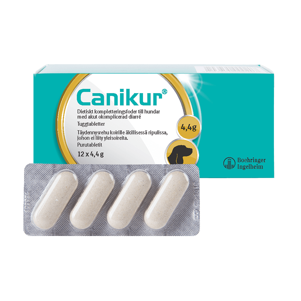 Canikur tabl 12 kpl