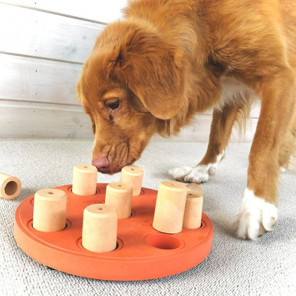 Nina Ottosson Dog Smart Komposit Orange
