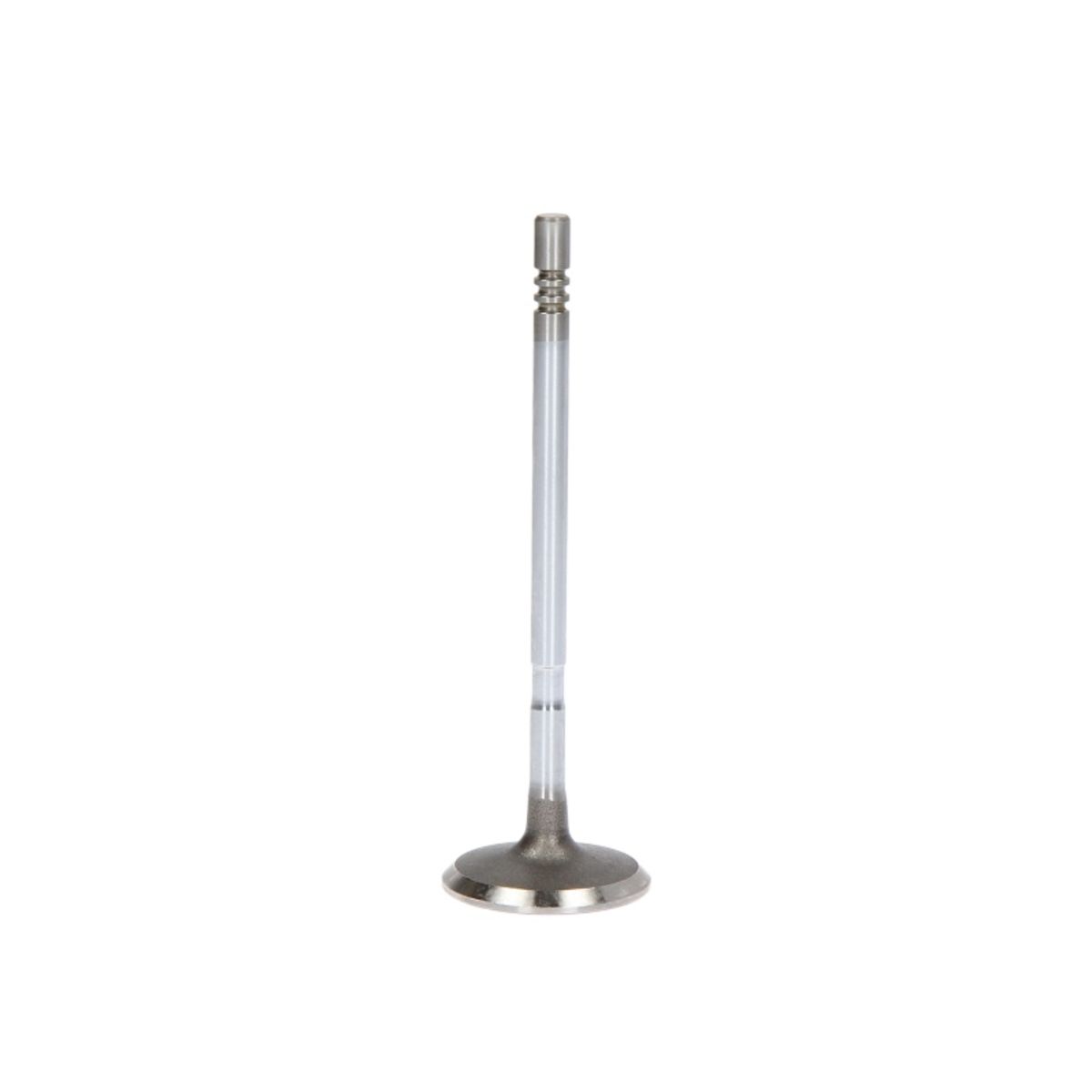 Imuventtiili FRECCIA R6597/SCR