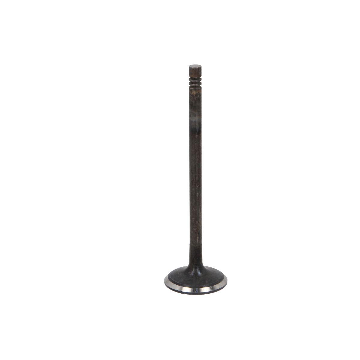 Imuventtiili IPSA VL229400