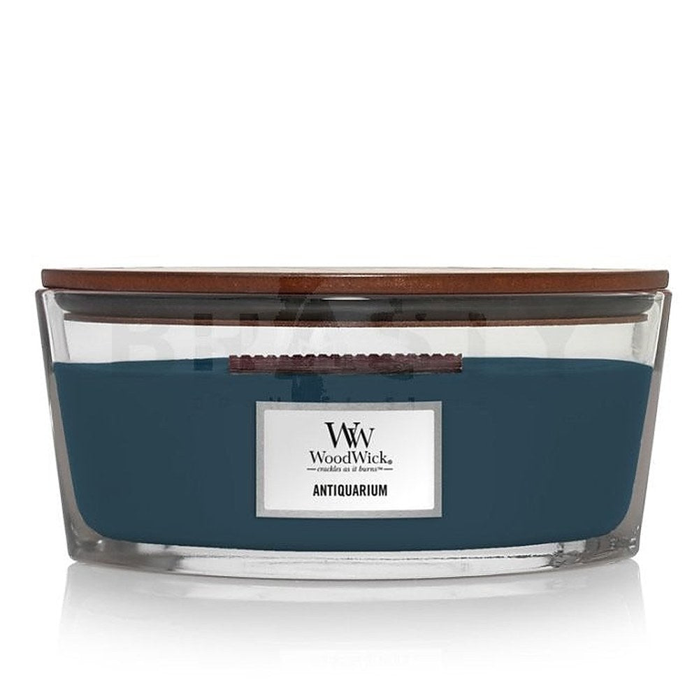 Woodwick Antiquarium Loď -tuoksukynttilä - 453,6 g