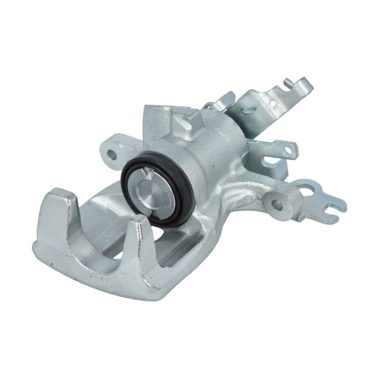 Jarrusatula BUDWEG CALIPER 345148