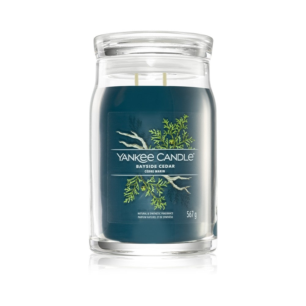 Yankee Candle Bayside Cedar Signature kynttilä - 567 g