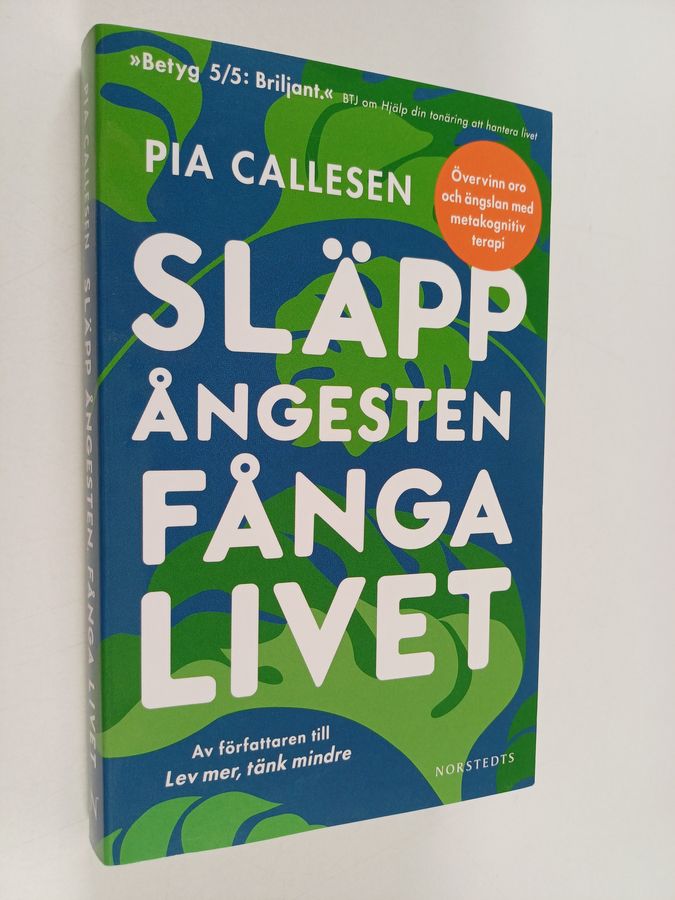 Släpp ångesten, fånga livet : övervinn oro och ängslan med metakognitiv terapi